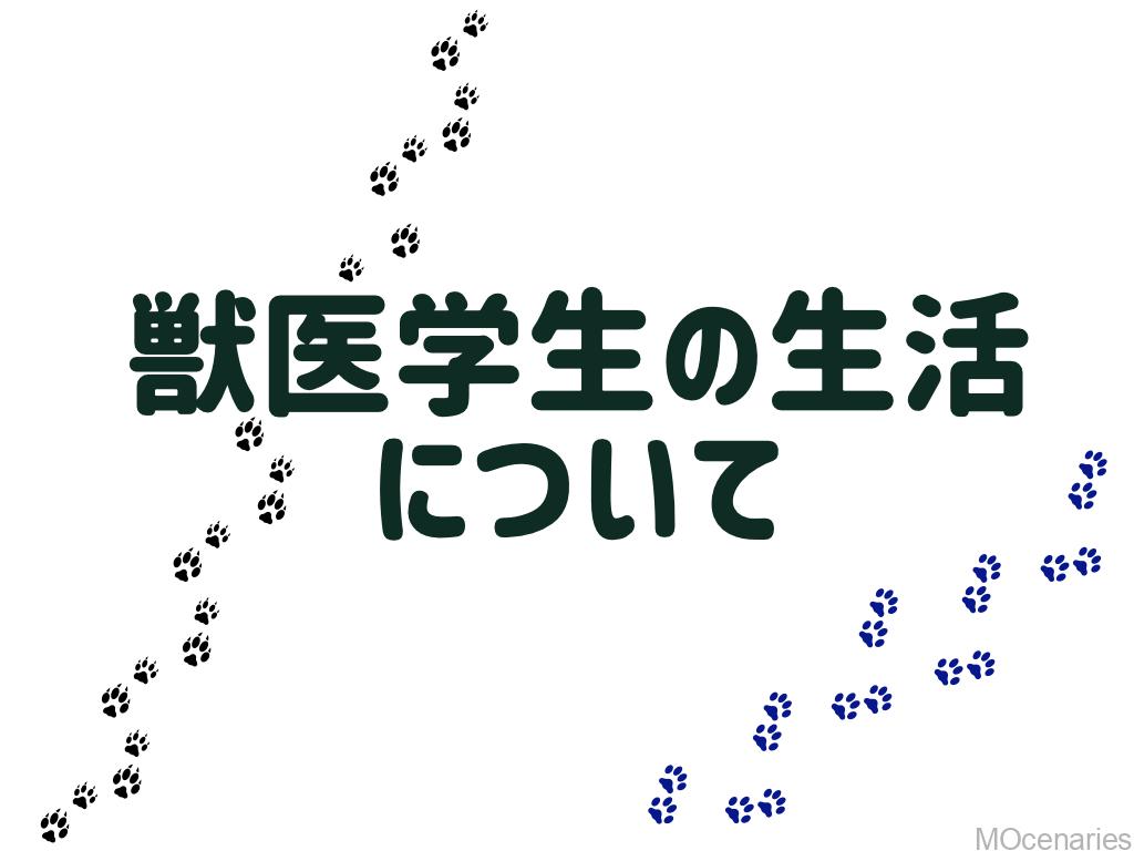 獣医学生の生活について